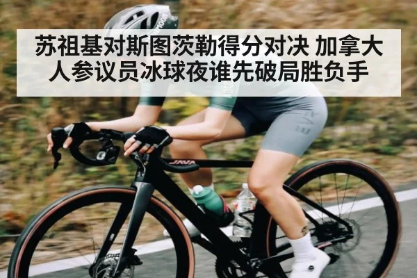 苏祖基对斯图茨勒得分对决 加拿大人参议员冰球夜谁先破局胜负手